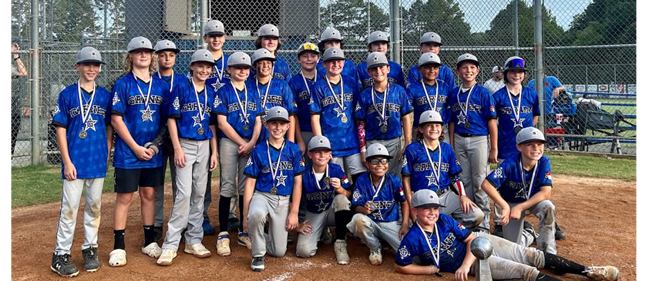 Spring All-Star information and selection process